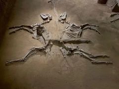 -洛阳周王城天子驾六博物馆