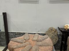 -游龙石文化科普馆