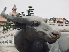 -广东圆玄道观