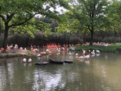 -野生动物园-停车场