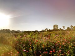 -长春世界雕塑园冰雪艺术天地