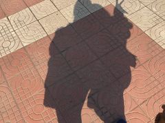 -西部兰花园生态园