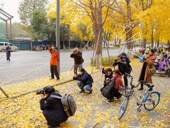 -四川大学(华西校区)