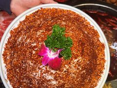 -蜀大侠火锅(总府路店)