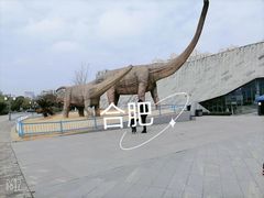 -安徽省地质博物馆