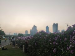 -南宁南湖公园