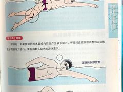 -陕西省游泳跳水馆