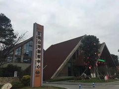 -铁山坪森林公园