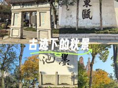 -墨池公园