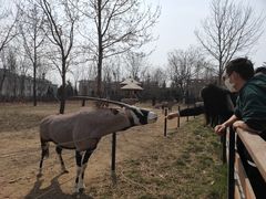 -大连森林动物园