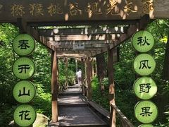 -大岭沟猕猴桃谷风景区