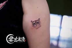 -雲艺刺青·洗纹身