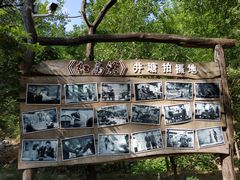 -井塘古村