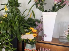 -万卉源鲜花店(百尚生活广场店)