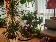 -瑶舍头疗·瑶浴·芳香热石SPA(五洲国际店)