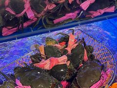 -辣螃铠盆盆蟹大排档(海昌店)