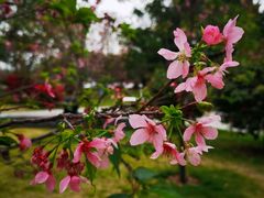 -文华公园(禅城区)