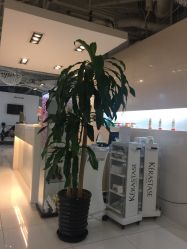 -ace hair salon top 无痕接发