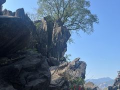 -玉石林风景区