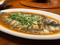 清蒸乌苏里江大白鱼-老江南春·中国龙菜(衡山路店)