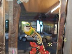 -花鸟鱼私家小厨(文殊院店)