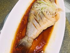 -七菜馆·东北菜·蒸饺(文体路店)