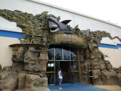 -秦皇岛乐岛海洋王国