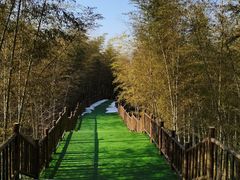 -陶祖圣境风景区