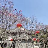 哇喔～鼎湖山一日游 舒服