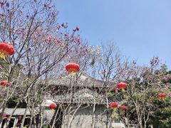 -鼎湖山风景区