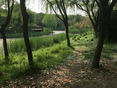 -昆山城市生态森林公园