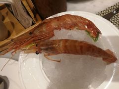 -都会尚膳·海鲜自助餐厅(重庆万豪酒店)