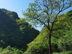 -抱龙峪