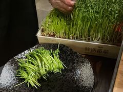 活豆苗-湊湊火锅·茶憩(上海合生汇店)