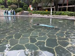 -融汇温泉