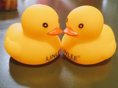 -LINLEE林里·手打柠檬茶(龙岗深铁汇里店)
