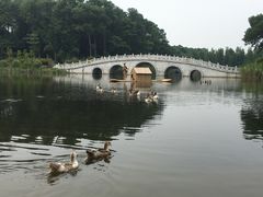 -金山植物公园