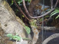 -中国湿地博物馆