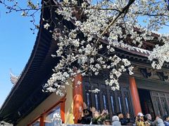 -灵谷景区