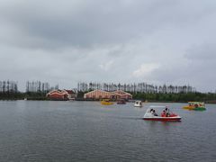 -上海长兴岛郊野公园