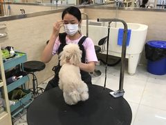 -多卡布奇宠物生活馆(上林世家店)