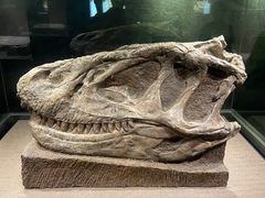 -自贡恐龙博物馆