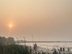 -西京湾花海