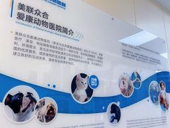-美联众合爱康动物医院•复杂内科•肿瘤科•牙科•腔镜诊疗中心
