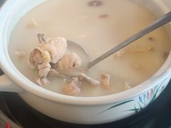 招牌·胡椒猪肚鸡-禧鳳記·猪肚鸡火锅(玖洲道店)