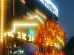 -后湖小院·乡野田园菜