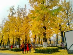 -百林公园-两江幸福广场