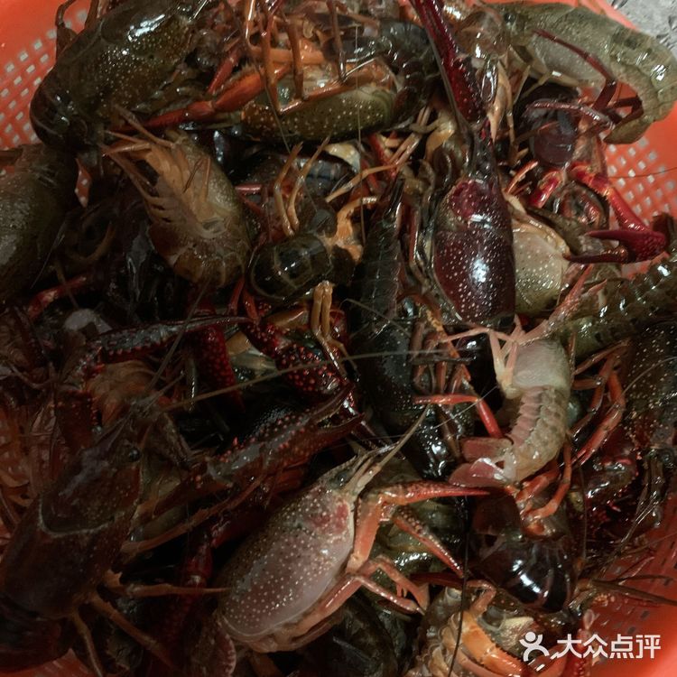 自己烧的小龙虾🦞，比店里好吃n倍啊[加油]