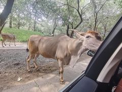 -北京野生动物园