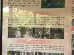 -绮园景区
